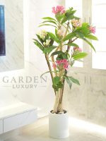 Enhance your interior with the timeless beauty of our Premium Artificial Kathgolap Plant (5 Feet). Designed to bring a touch of nature into your space, this stunning artificial plant is crafted with a real wooden trunk that has undergone special treatment for durability. The vibrant pink and white flowers, combined with lush green leaves, create a lifelike and refreshing aesthetic. Perfect for living rooms, offices, hotels, and luxury spaces, this artificial Kathgolap tree requires zero maintenance while maintaining a fresh and elegant look all year round. The fiberglass pot with a premium stone finish adds a modern and natural touch, making it a sophisticated décor piece for any environment.