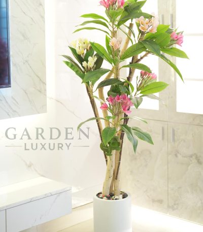 Enhance your interior with the timeless beauty of our Premium Artificial Kathgolap Plant (5 Feet). Designed to bring a touch of nature into your space, this stunning artificial plant is crafted with a real wooden trunk that has undergone special treatment for durability. The vibrant pink and white flowers, combined with lush green leaves, create a lifelike and refreshing aesthetic. Perfect for living rooms, offices, hotels, and luxury spaces, this artificial Kathgolap tree requires zero maintenance while maintaining a fresh and elegant look all year round. The fiberglass pot with a premium stone finish adds a modern and natural touch, making it a sophisticated décor piece for any environment.