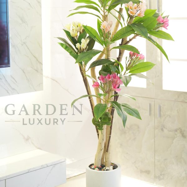 Enhance your interior with the timeless beauty of our Premium Artificial Kathgolap Plant (5 Feet). Designed to bring a touch of nature into your space, this stunning artificial plant is crafted with a real wooden trunk that has undergone special treatment for durability. The vibrant pink and white flowers, combined with lush green leaves, create a lifelike and refreshing aesthetic. Perfect for living rooms, offices, hotels, and luxury spaces, this artificial Kathgolap tree requires zero maintenance while maintaining a fresh and elegant look all year round. The fiberglass pot with a premium stone finish adds a modern and natural touch, making it a sophisticated décor piece for any environment.