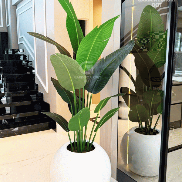 The Bird of Paradise Plant is one of the most elegant and premium decorative plants, inspired by the tropical beauty of nature. With its long, banana-shaped lush green leaves, it instantly creates a refreshing, modern, and luxurious vibe in any space. Perfect for living rooms, offices, reception areas, restaurants, or lounge corners, this tall artificial plant adds a bold statement of style. Crafted with premium PVC rubber plastic, the leaves are durable, realistic, and easy to maintain. The plant is set in a premium fiber glass pot, with a stable base often filled with marble stones for a natural look. It requires no watering or sunlight, yet stays fresh and vibrant all year round. Bring home the Bird of Paradise to transform your interior into a classy, tropical-inspired space with a touch of luxury