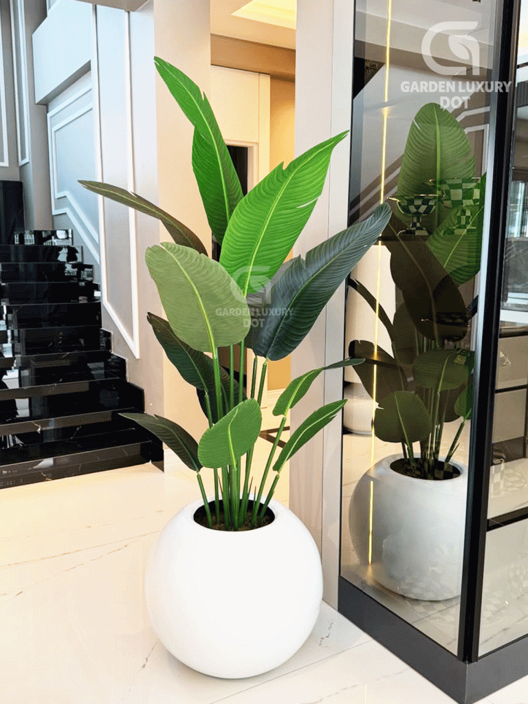 The Bird of Paradise Plant is one of the most elegant and premium decorative plants, inspired by the tropical beauty of nature. With its long, banana-shaped lush green leaves, it instantly creates a refreshing, modern, and luxurious vibe in any space. Perfect for living rooms, offices, reception areas, restaurants, or lounge corners, this tall artificial plant adds a bold statement of style. Crafted with premium PVC rubber plastic, the leaves are durable, realistic, and easy to maintain. The plant is set in a premium fiber glass pot, with a stable base often filled with marble stones for a natural look. It requires no watering or sunlight, yet stays fresh and vibrant all year round. Bring home the Bird of Paradise to transform your interior into a classy, tropical-inspired space with a touch of luxury