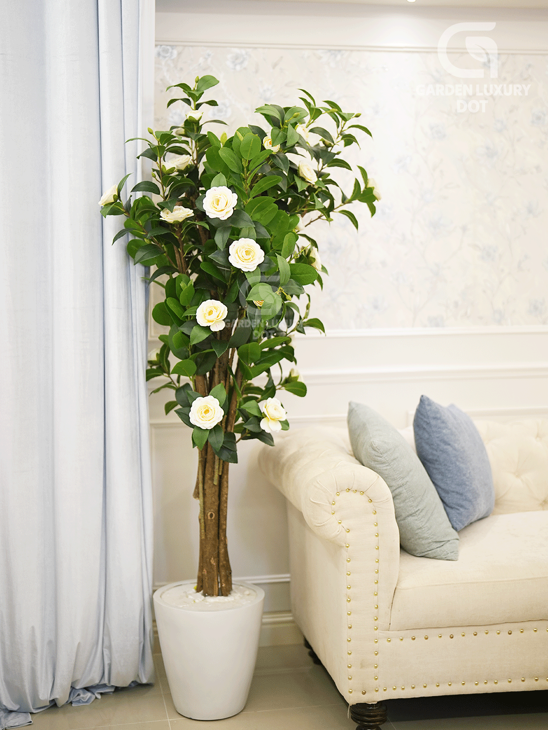 luxury-camellia-tree