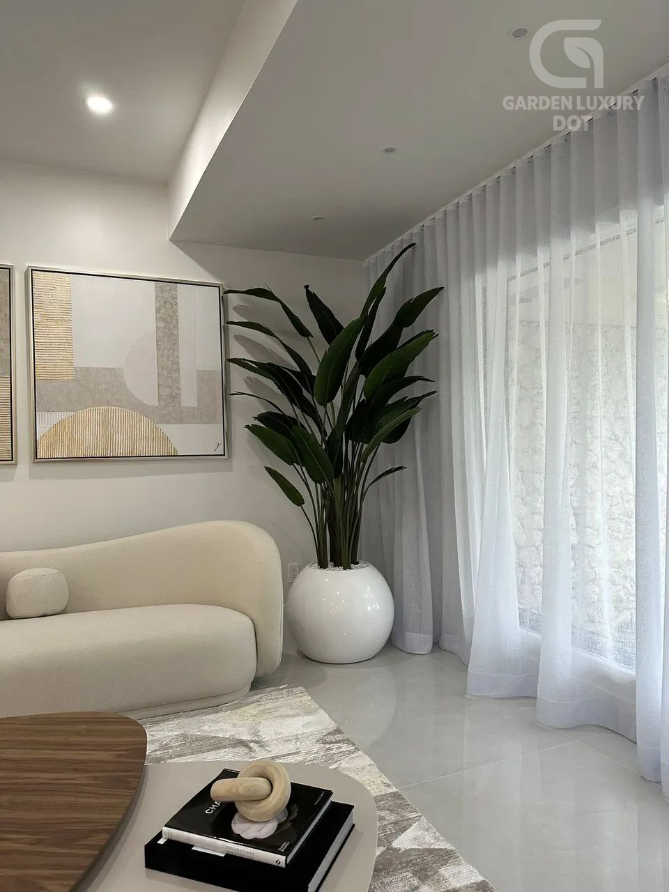 Bird of Paradise in White Glossy Planter – 7