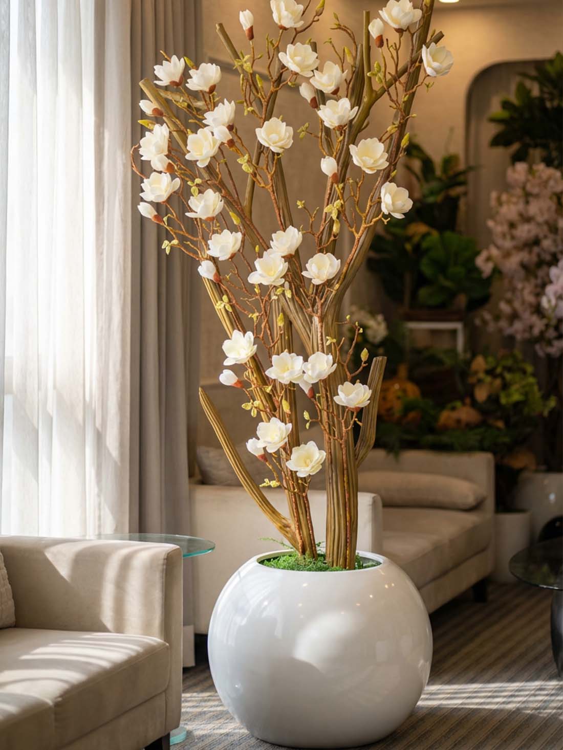 Royal Magnolia Blossom Tree – 6 Feet