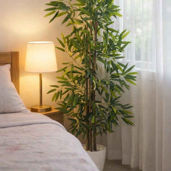 Soft Japanese Bamboo Tree