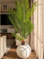 Premium Artificial Palm Plant – 5 Feet White Glossy Planter Material : High-quality artificial palm leaves (natural texture finish) : Strong multi-stem base structure : Premium white glossy fiberglass planter : Decorative white marble stones (top finish) Color : Leaf – Natural Fresh Green : Planter – White Glossy Height : Approx. 5 Feet Delivery Time