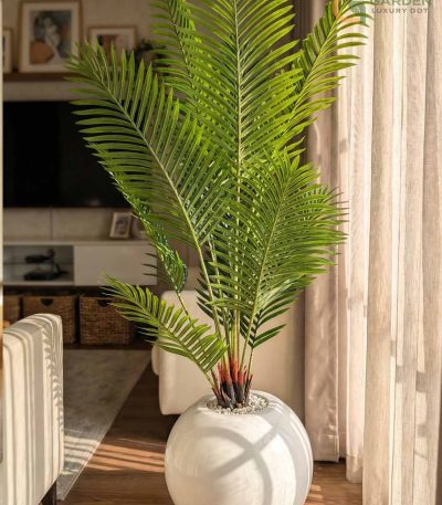 Premium Artificial Palm Plant – 5 Feet White Glossy Planter Material : High-quality artificial palm leaves (natural texture finish) : Strong multi-stem base structure : Premium white glossy fiberglass planter : Decorative white marble stones (top finish) Color : Leaf – Natural Fresh Green : Planter – White Glossy Height : Approx. 5 Feet Delivery Time