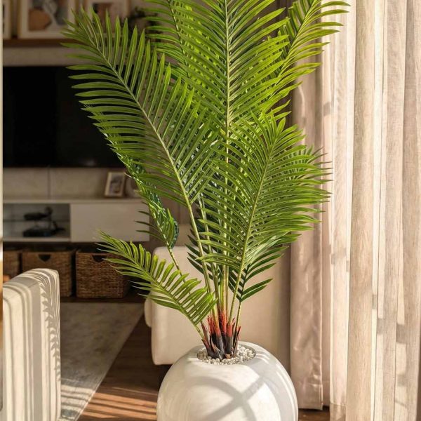 Premium Artificial Palm Plant – 5 Feet White Glossy Planter Material : High-quality artificial palm leaves (natural texture finish) : Strong multi-stem base structure : Premium white glossy fiberglass planter : Decorative white marble stones (top finish) Color : Leaf – Natural Fresh Green : Planter – White Glossy Height : Approx. 5 Feet Delivery Time