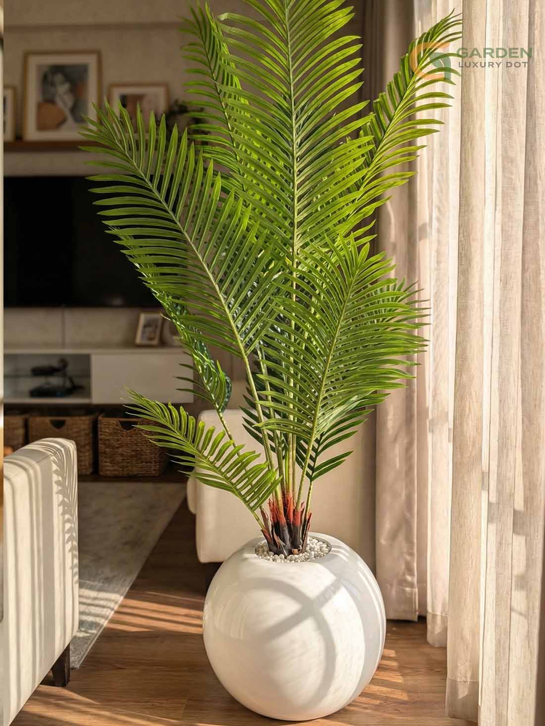 Premium Artificial Palm Plant Premium Artificial Palm Plant – 5 Feet White Glossy Planter Material : High-quality artificial palm leaves (natural texture finish) : Strong multi-stem base structure : Premium white glossy fiberglass planter : Decorative white marble stones (top finish) Color : Leaf – Natural Fresh Green : Planter – White Glossy Height : Approx. 5 Feet Delivery Time
